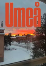 Couverture du document EUROPE_Umea