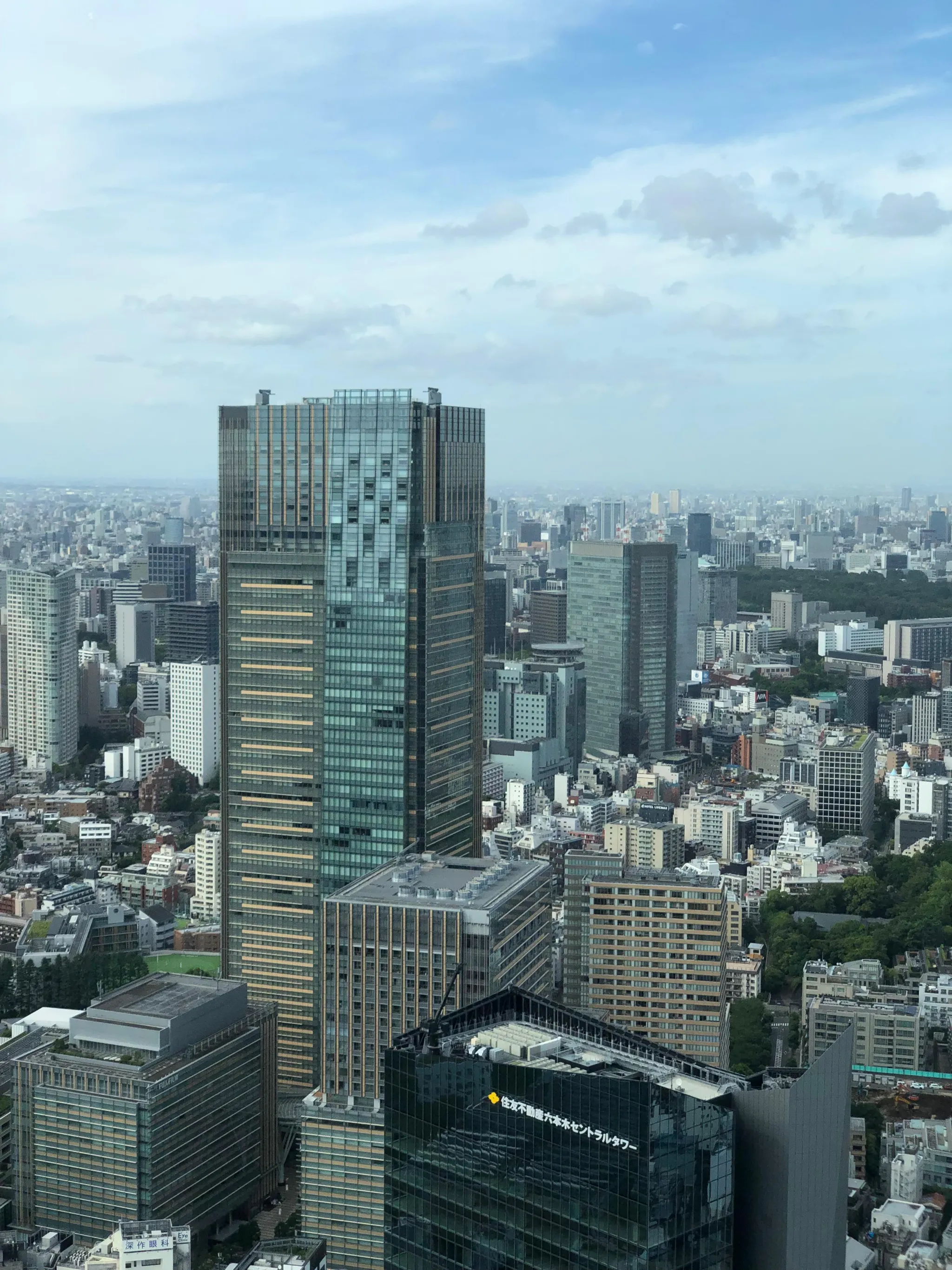 Vue depuis le Mori Art Museum (53e étage de la Mori Tower, Roppongi Hills), Tokyo