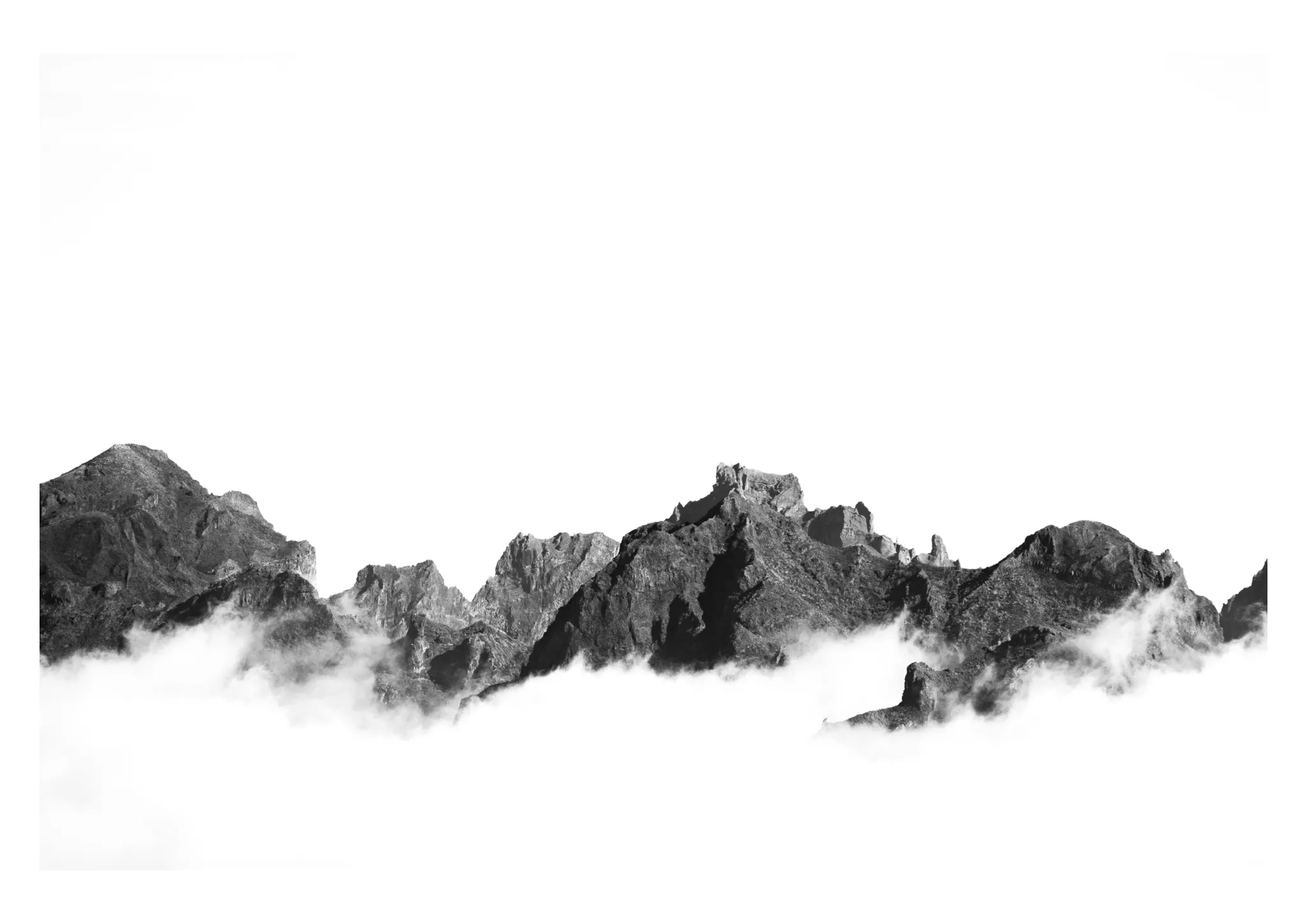Projet