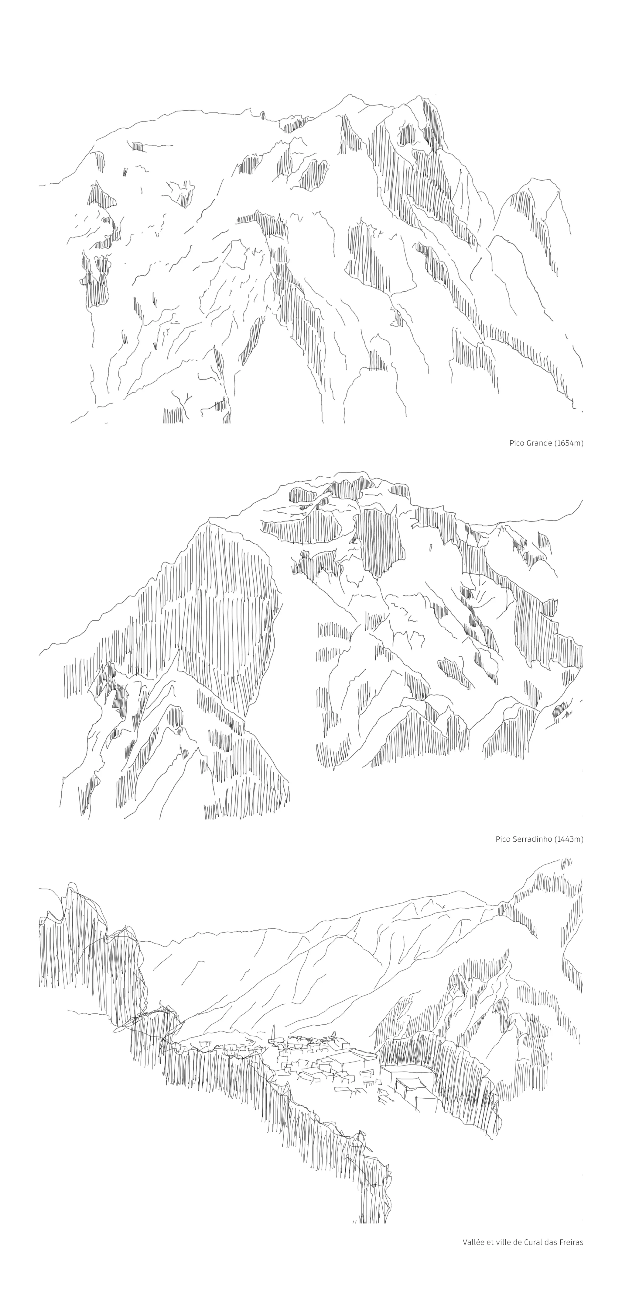 Projet
