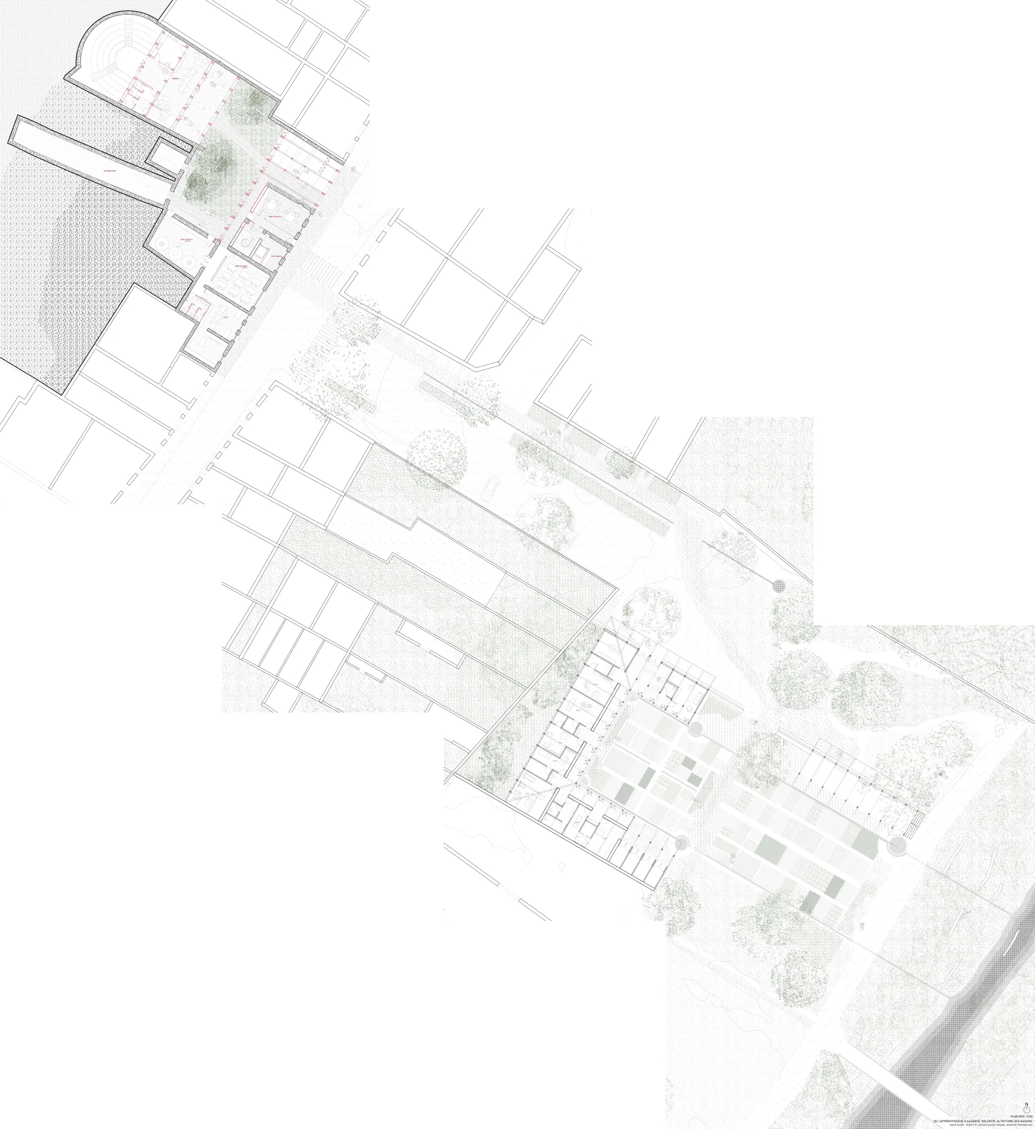 Projet