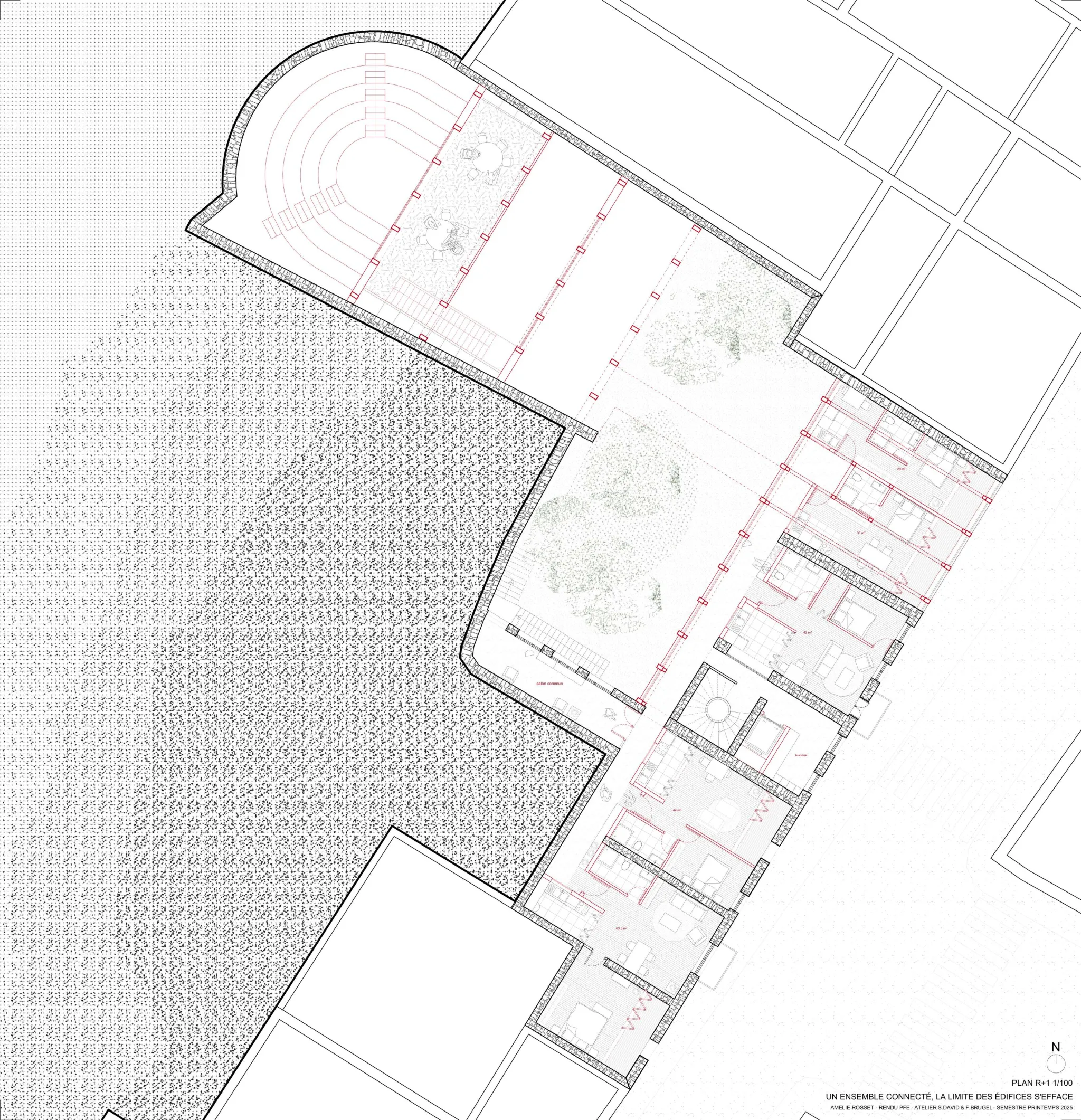 Projet