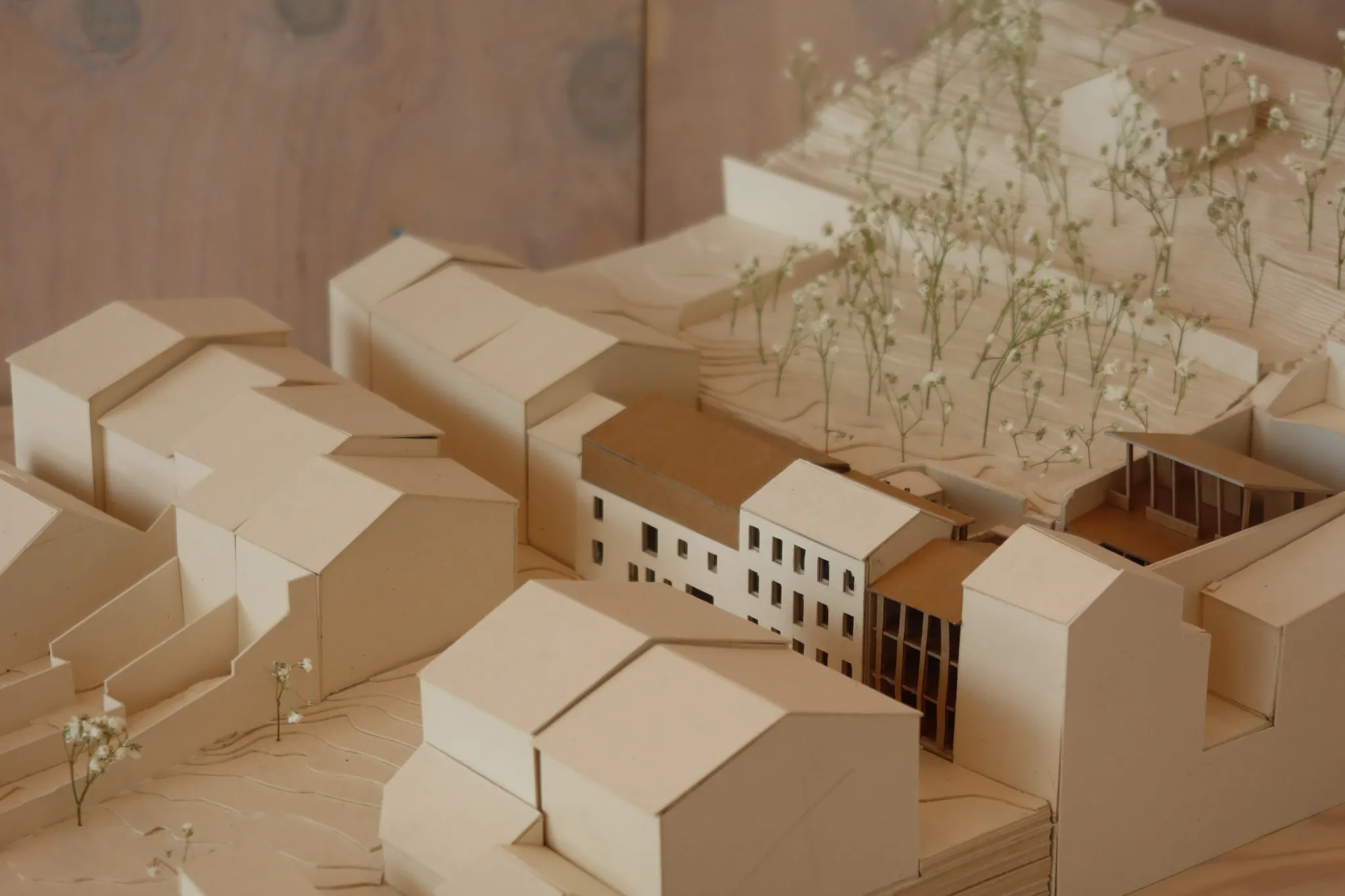 Projet