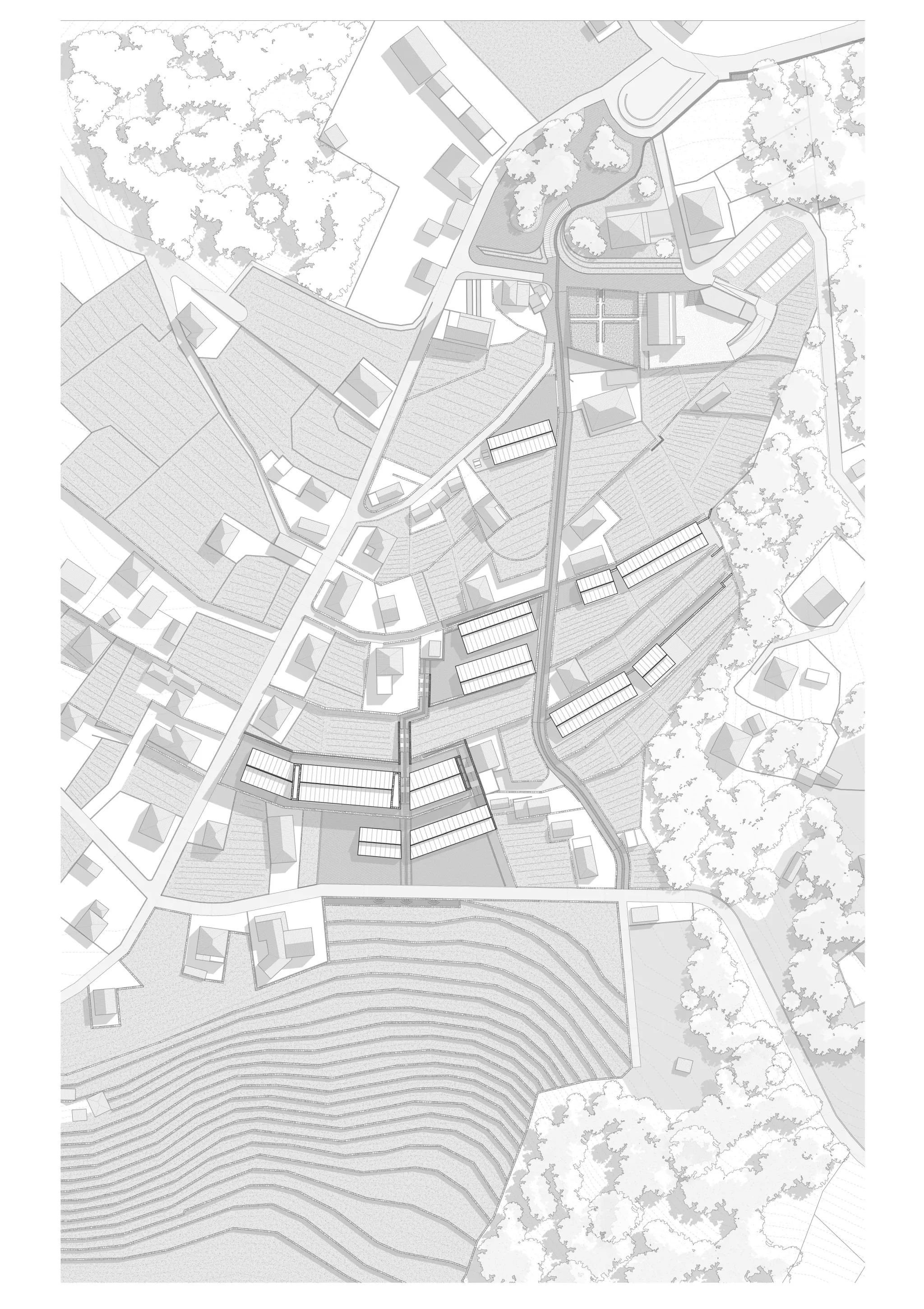 Projet