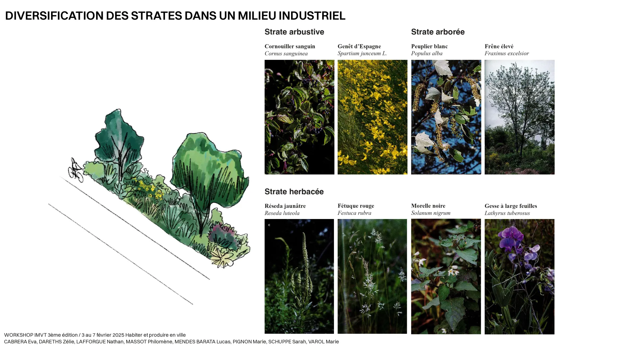 Projet Les Arnavaux Gr8